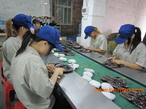 东莞安盈验货公司 您可靠的鞋类验货合作伙伴