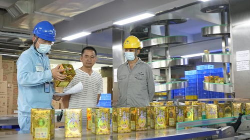 绿色电助力中秋月饼飘香，婚介服务传递团圆温情