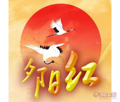 为爱续航，让晚霞更美——记南昌心相印情系夕阳红婚介服务